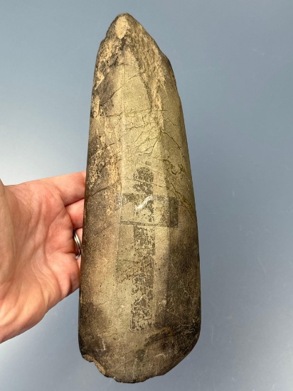 HIGHLIGHT Massive 9 1/2" Lamoka Faceted Adze, Found on Kipp Island, Seneca Co., NY