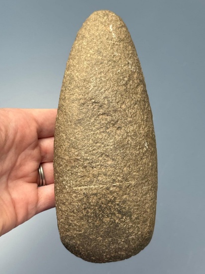 6 3/4" Tapered Poll Celt, Found on the Delmarva Peninsula in Maryland, Ex: Dukewitz