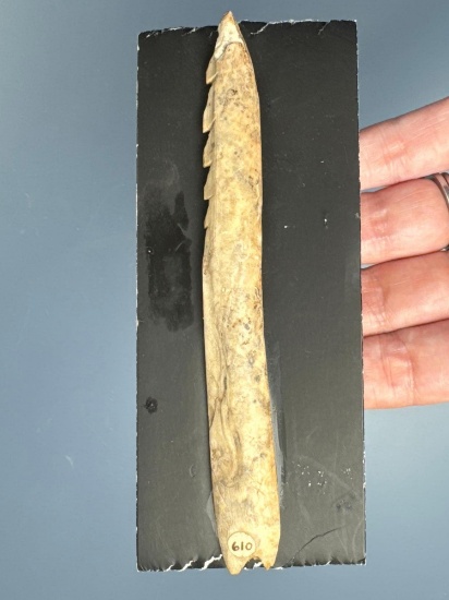 5" Bone Harpoon, Found along Mud Creek, Bradford, NY, Ex: Whipple, Summers Collections