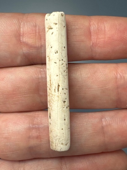 1 3/4" Shell Tube Bead, Found in Central, NY, Nice Quality Example