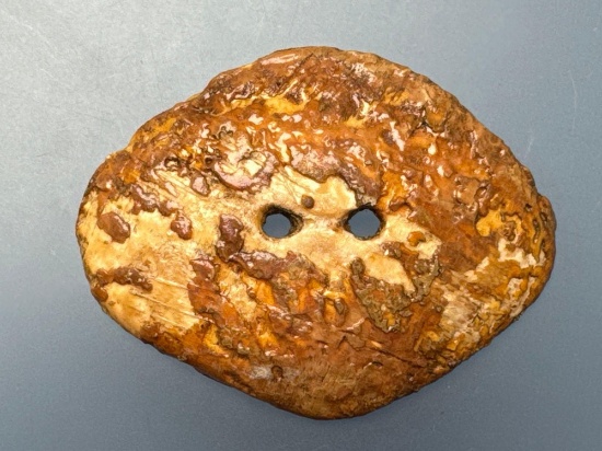 NICE 2 1/8" Dually Drilled Shell Gorget, Found on Walker Mountain, Washington Co., West Virginia