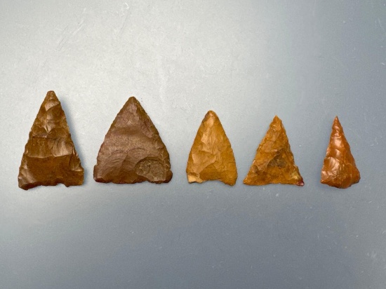 Lot of 5 Jasper Triangle Points, Longest is 1 3/8", Found in Central, PA