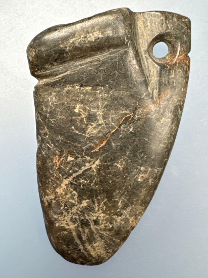 Unique Salvage Bannerstone Half, Drilled Suspended, Found in Milford Square, PA, Ex: Podpora