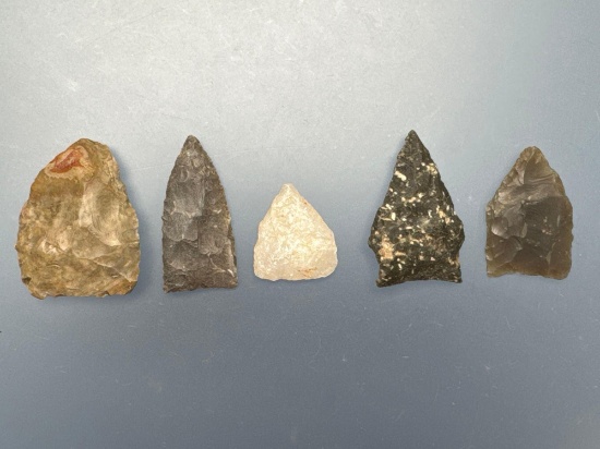 5 Fine Points, Triangular, Eared, Found in NC and VA, Longest is 1 1/4"