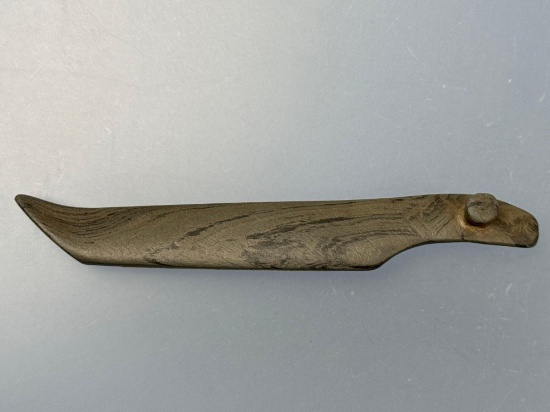 HIGHLIGHT 5 7/8" Pop-Eye Banded Slate Birdstone, Found in Oswego Co., New York, Bennett COA