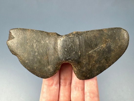 IMPRESSIVE 5 1/8" Whales Tail Bannerstone, Found in Hunterdon Co., New Jersey, Ex: Barry George