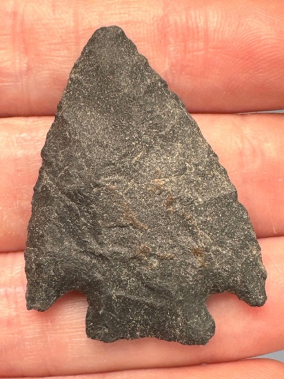 1 1/2" Black Chert Basal Notch Point, THIN, Found in Pennsylvania