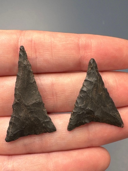 Pair of High Quality Iroquoian Triangle Points, Longest is 1 1/2", Found in New York