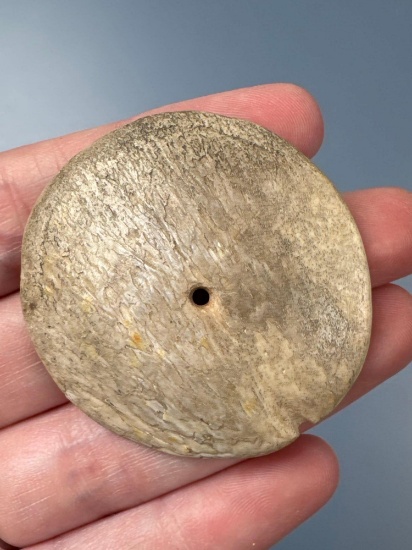 1 3/4" Bone Drilled Pendant w/Notch, Found in Pennsylvania, Nice Example, THIN