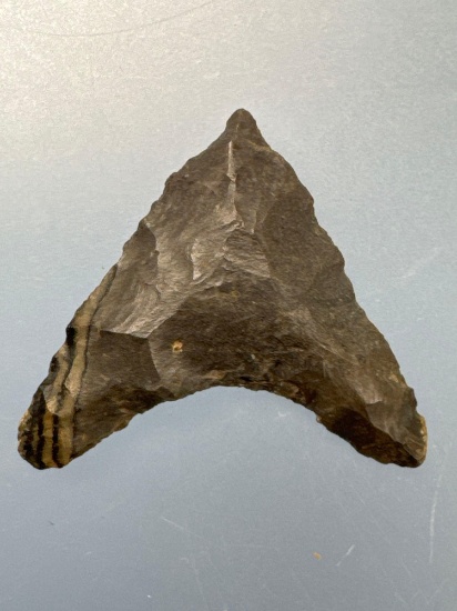 Impressive 1 1/8" Levana Triangle Point, Found in New York, Nice Example
