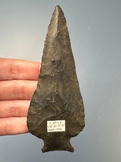 HIGHLIGHT 4 7/8" Normanskill Chert Susquehanna Broadpoint, Found I Kingston, Mass, Ex: Engstrom