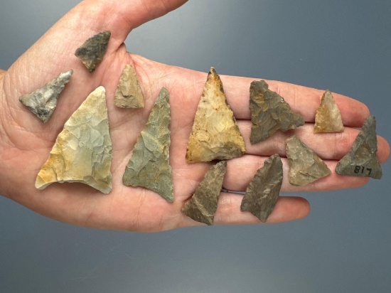 Lot of 12 VA and NC Triangle Points, Longest is 2 1/8"