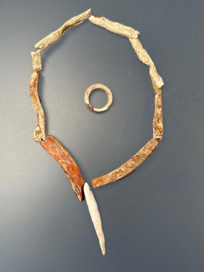 RARE Shell Bead Necklace and Shell Ring, Found Young Farm, Ripley Site, Chautauqua Co., NY