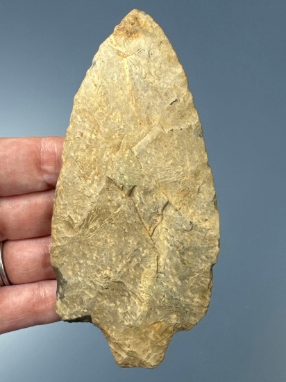 NICE 5" Rhyolite Savannah River Spear, Thin Example, Found in Virginia