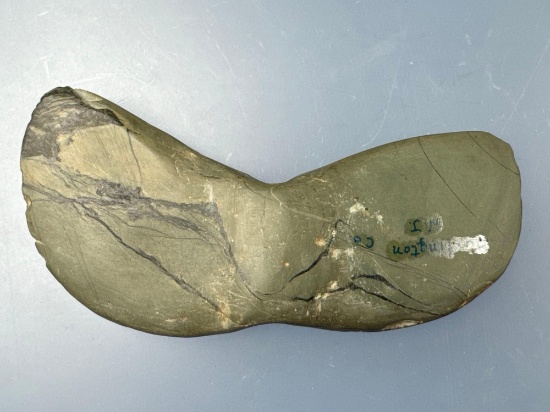 HIGHLIGHT 5 3/8" Winged Bannerstone, Attractive Serpentine, Found in Burlington Co. NJ