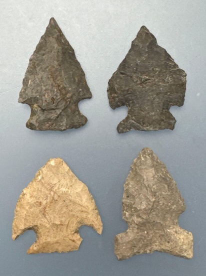 Lot of 4 Fine Notched Points, Jacks Reef, Side Notch, Found in PA/NY Region, Longest is 1 3/8"