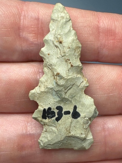 1 3/4" Rhyolite Serrated Side Notch Point, Found in VA/NC Region