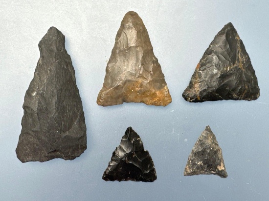 Lot of 5 Various Triangle Points, Chert and Rhyolite, Longest is 1 3/4"