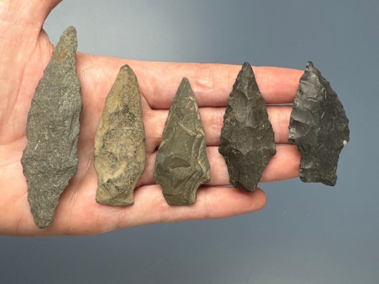 Lot of 5 Nice Stem Points, Longest is 3 1/4" (Poplar Island), Found in Pennsylvania