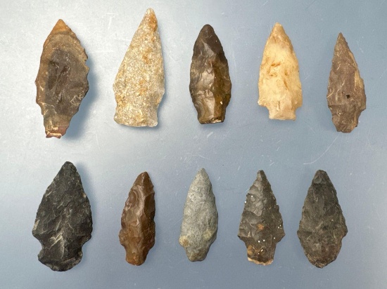 Lot of 10 Piscataway Related Points, Found in Maryland, Longest is 1 7/8"