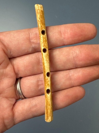 RARE 3 5/16" Bone Flute, 4 Holes, Found on West Virginia/Kentucky Borer