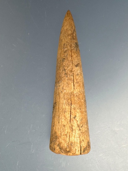NICE 2 1/2" Antler Conical Point, Hollowed out for Hafting, Impressive Piece! Found in West Virginia