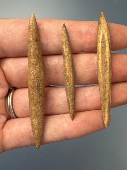 Lot of 3 Bone Artifacts, Dual Tips, Fish Gorges, Found in New Jersey in the 1950's
