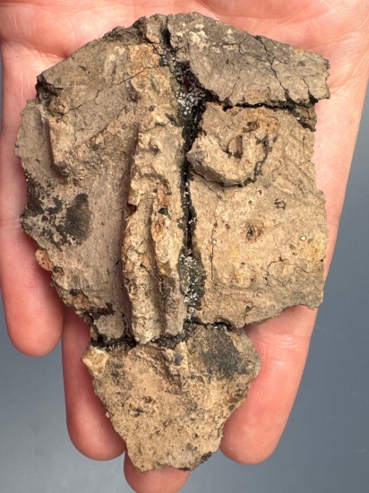 WOW 3 1/8" Full Human Effigy Rim Shard, Mohawk Iroquoian Vessel found in New York