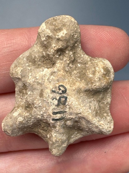 RARE 1 5/16" Lead Turtle Puddle Pendant, Found on the Oak Hill Site, Mont. Co., NY, Ex: Summers