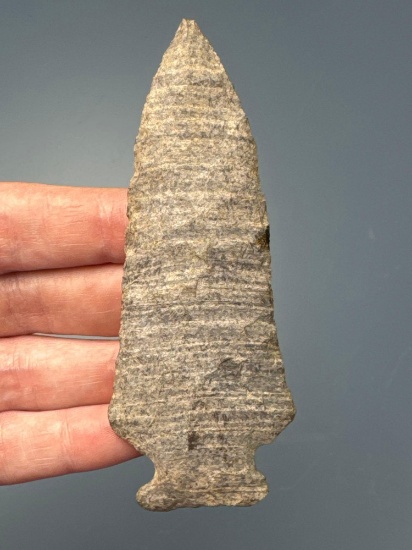 WOW 3 3/4" Banded Rhyolite Susquehanna Broadpoint, Clipped Variant, Found in Lancaster Co., PA