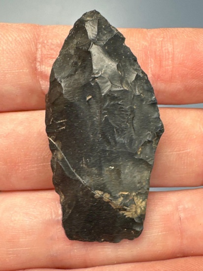 RARE 1 3/4" Resharpened Paleo Lanceolate, Heavily Ground Base, Found in Lycoming Co., PA