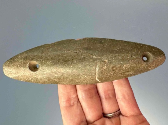 FINE 5 3/8" Gorget w/Raised Ridge (Center), Drilled, Found in Burlington Co., NJ, Ex: Hamilton