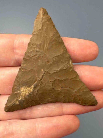 WOW 2 1/2" Paper Thin Jasper Levanna Triangle Point, Found in New Jersey