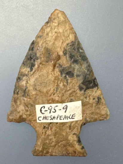 1 7/8" Cobble Chert Transitional Point, Found in Maryland near the Chesapeake Bay