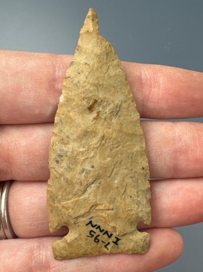 NICE 2 5/8" Thin Cache River Point, Found in Arkansas, Ancient Ding Noted, Ex: Orr Collection