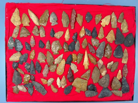 HUGE Lot of Jasper and Chert Arrowheads, Found in Gloucester County, New Jersey