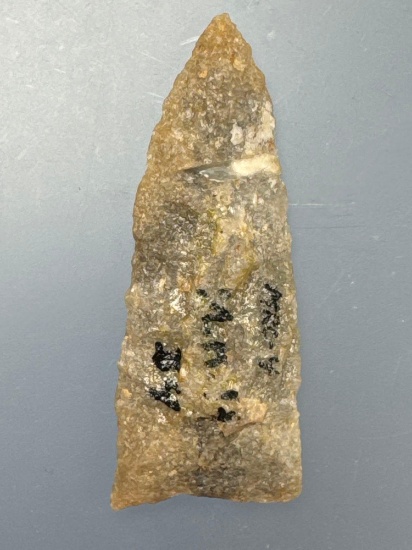 NICE 2 1/2" Quartzite Paleo Point, Found in Virginia, Ex: Ed Bottoms Collection