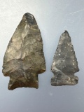Pair of Coshocton Chert Points, Ohio Valley, Nice Condition, Longest is 2 1/2