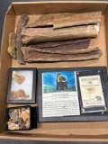 Various Fossils, Bones, Mammoth Hair, Ex: Hanning Collection,