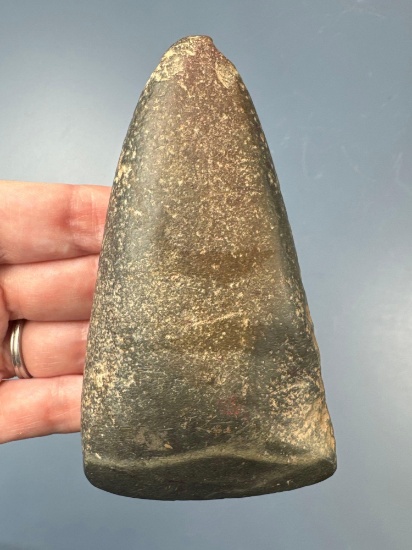 4 1/4" Polished Celt w/Worm Tracks, Found in Lancaster Co., PA, Ex: Ted Knieriem