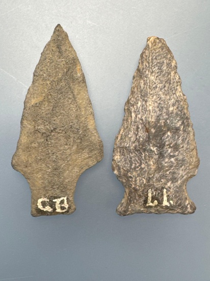 Pair of Doc Bowser Arrowheads, Goldsboro (2 3/16" Argillite Bare Island)+ Long Level (2 1/16" Broad