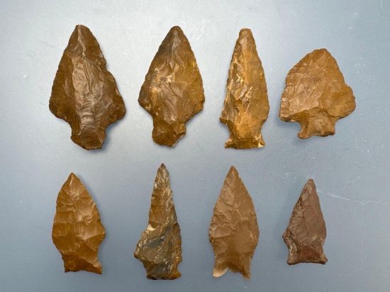 8 Fine Jasper Transitional Points, Orient, Perkiomen, Fishtails, Ex: Sutton, Longest 2 1/8"