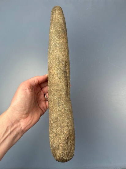 Large 13 3/4" Pestle, Heavily Polished and Worked End, Found in Lancaster Co., PA, Ex:Ted Knieriem