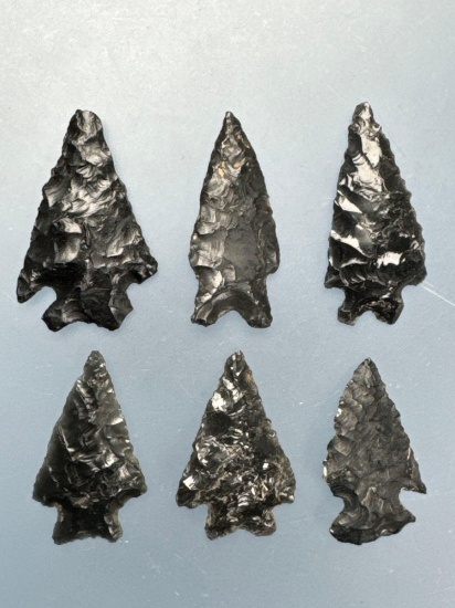 6 Fine Obsidian Points, Longest is 1 1/2", Found in Harney Co., Oregon by the Knieriem Family,
