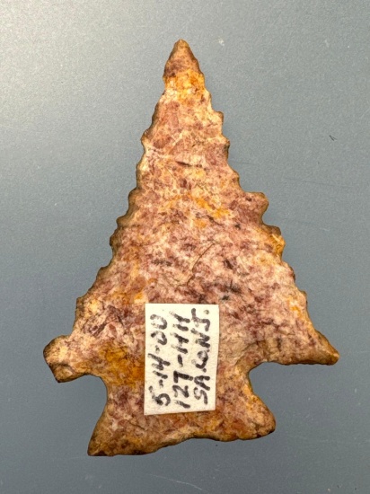 1 1/4" Cobble Jasper Serrated Amos, Found in Salem Co., NJ, Ex: Podpora