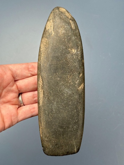 7" Highly Polished Celt, Thin Overall, Found in NJ, Ex: Middleton Collection, Podpora