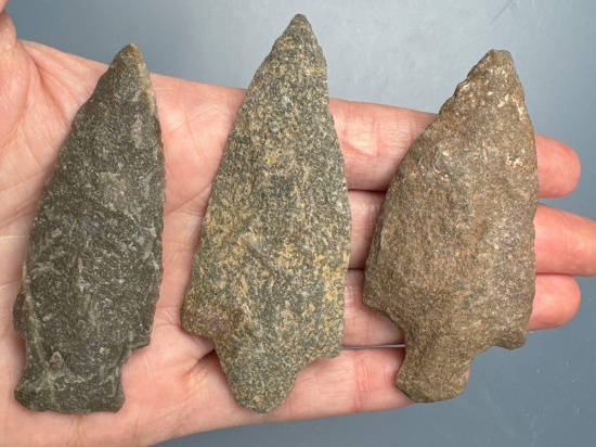 3 Quartzite Stem Point, Longest is 3", Found in the Oley Valley, Berks Co., PA, Ex: Ted Knieriem