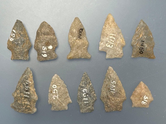 10 Fine Smaller Points, Longest is 1 1/2" Found in the Oley Valley, Berks Co., PA, Ex: Ted Knieriem