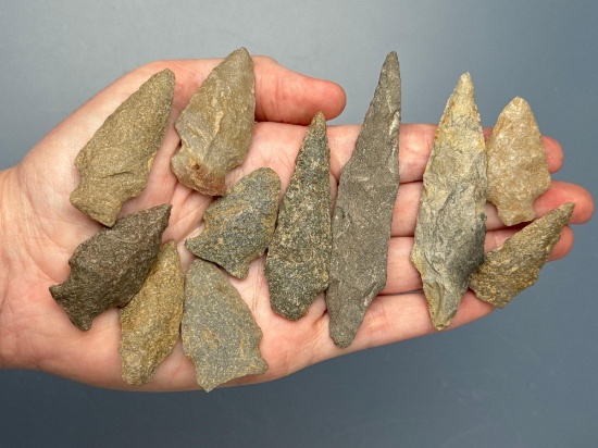 11 Nicely Made Arrowheads, Longest is 3 5/8", Found in the Oley Valley, Berks Co., PA,