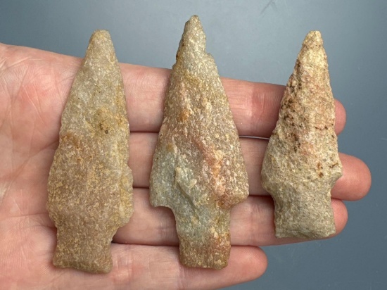 3 Quartzite Bare Island Points, Longest is 2 5/8", Found in Lancaster Co., PA, Ex: Ted Knieriem